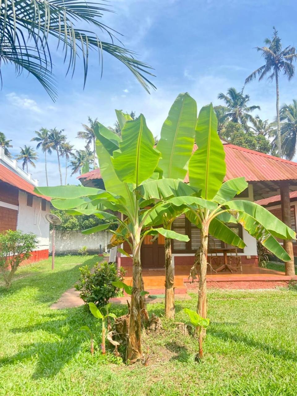 Hill View Ayurvedic Beach Resort Varkala Eksteriør bilde